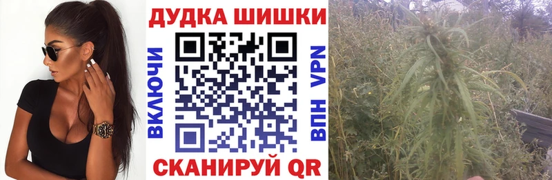 Конопля гибрид  Буй 